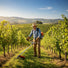Man maintaining sloped vineyard lawn with MIP1399 4-stroke quiet gas grass trimmer – portable garden tool-minisawpro