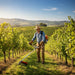 Man maintaining sloped vineyard lawn with MIP1399 4-stroke quiet gas grass trimmer – portable garden tool-minisawpro