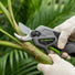 A3-MINISAWPRO electric pruning shears sharp blade close-up cutting tropical plant stem – precision cordless pruner