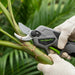 A3-MINISAWPRO electric pruning shears sharp blade close-up cutting tropical plant stem – precision cordless pruner