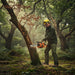 British forest ranger felling diseased tree in ancient English woodland with 2J00 25.4cc powerful petrol chainsaw-minisawpro
