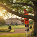 Professional arborist pruning large oak branches at English country estate with MIP6800 58cc heavy-duty gas chainsaw-minisawpro