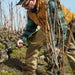 Alpen Electric Pruning Shear Wildhorn A-40 Alpen