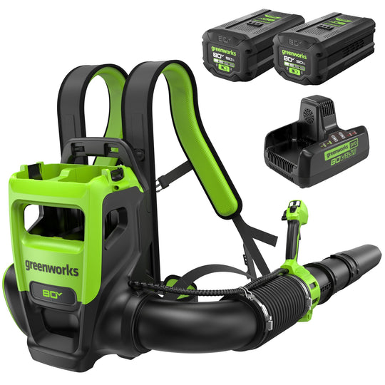 80V 800CFM Cordless Battery Dual-Port Backpack Blower: (2) 5Ah Battery and Dual-Port Rapid Charger Greenworks