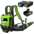 80V 800CFM Cordless Battery Dual-Port Backpack Blower: (2) 5Ah Battery and Dual-Port Rapid Charger Greenworks
