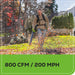80V 800CFM Cordless Battery Dual-Port Backpack Blower: (2) 5Ah Battery and Dual-Port Rapid Charger Greenworks
