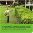 80V 20" Cordless Battery Pole Hedge and 10" Pole Saw Combo Kit: 2.0 Ah Battery and Rapid Charger greenworkstools
