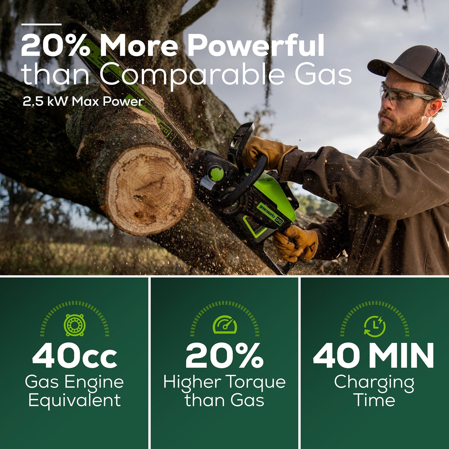 60V Storm/Flood/Power Outage Kit: (2) Batteries and (2) Chargers greenworkstools
