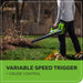 40V 12" Cordless String Trimmer and Leaf Blower Combo Kit w/ 2.0Ah Battery & Charger greenworkstools