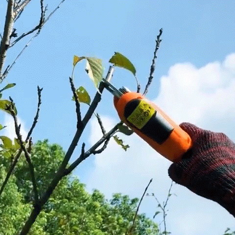 Automated Wireless Garden Pruner 2simpleagency
