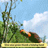 Automated Wireless Garden Pruner 2simpleagency