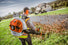 Stihl BR 700 Backpack Blower STIHL