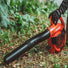 Echo PB-2520 Handheld Blower ECHO