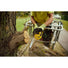 DEWALT DCCS673X1 FlexVOLT 60V MAX Compact 12-in. Top Handle Chainsaw 9.0Ah Kit DeWALT