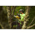 DEWALT DCCS673X1 FlexVOLT 60V MAX Compact 12-in. Top Handle Chainsaw 9.0Ah Kit DeWALT