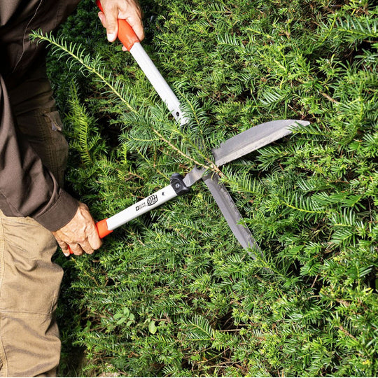 Felco™ 250-63 Hedge Shears FELCO