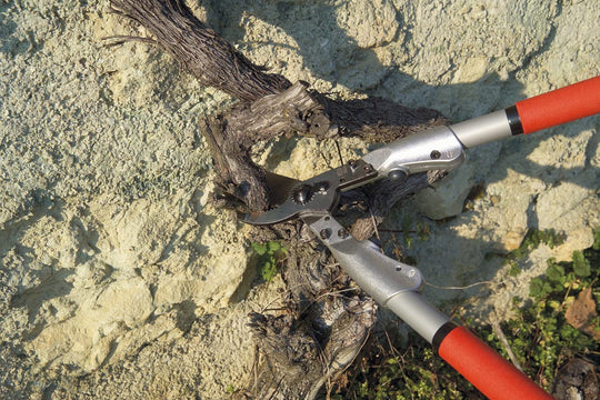 Felco™ F200A-40 Two-Hand 15.7 In. Pruning Shear FELCO