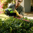 80V 21" Self-Propelled Mower 5-pc Combo Kit, (1) 4Ah Battery, (1) 2Ah Battery and (2) Chargers greenworkstools