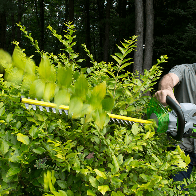 EGO Power+ HT2400-FC 24" Hedge Trimmer (Battery and Charger Not Included) - Reconditioned EGO Power+