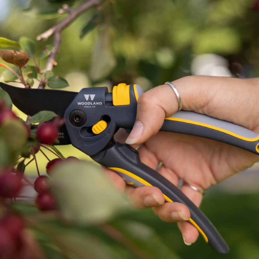 Woodland Tools Hedge Lopper Shear Pruner Kit Woodland Tools Co.