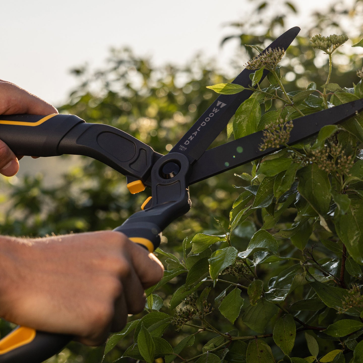 Woodland Tools Hedge Lopper Shear Pruner Kit Woodland Tools Co.