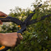 Woodland Tools Hedge Lopper Shear Pruner Kit Woodland Tools Co.