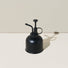 Plant Misters Modern Sprout