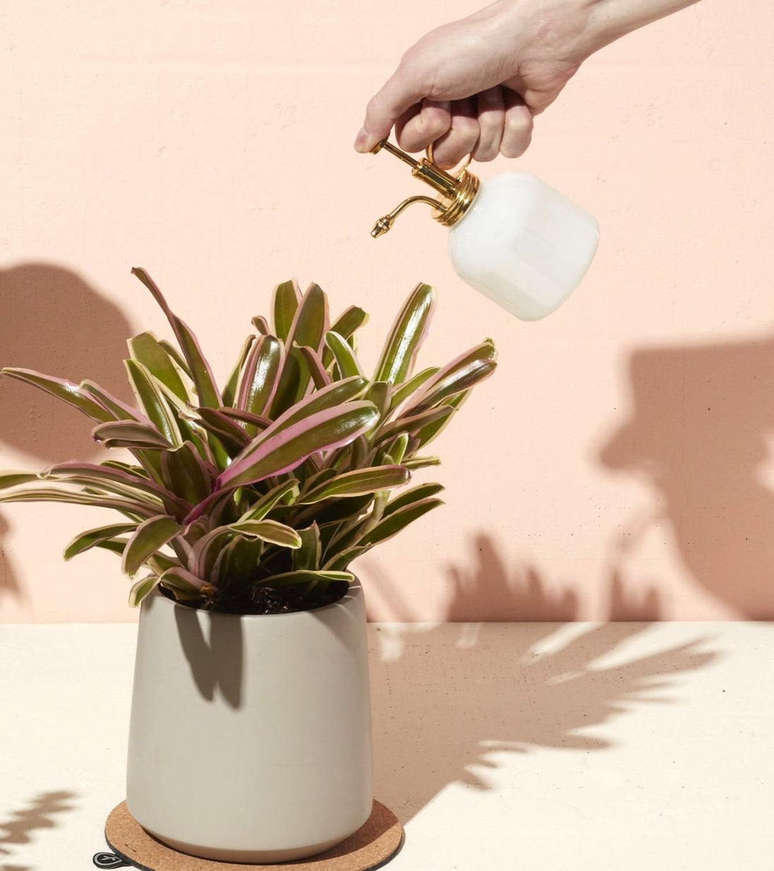 Plant Misters Modern Sprout