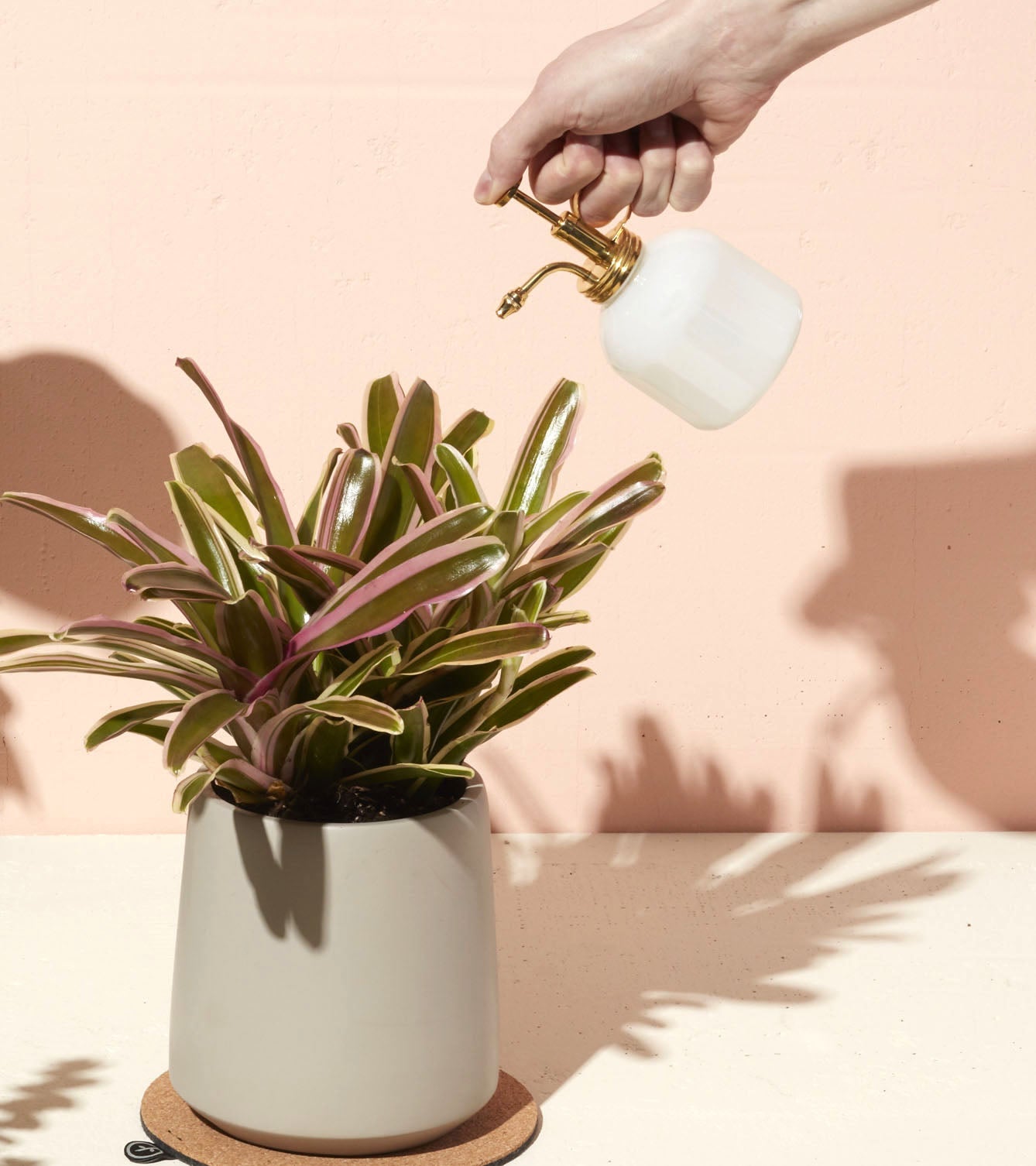 Plant Misters Modern Sprout