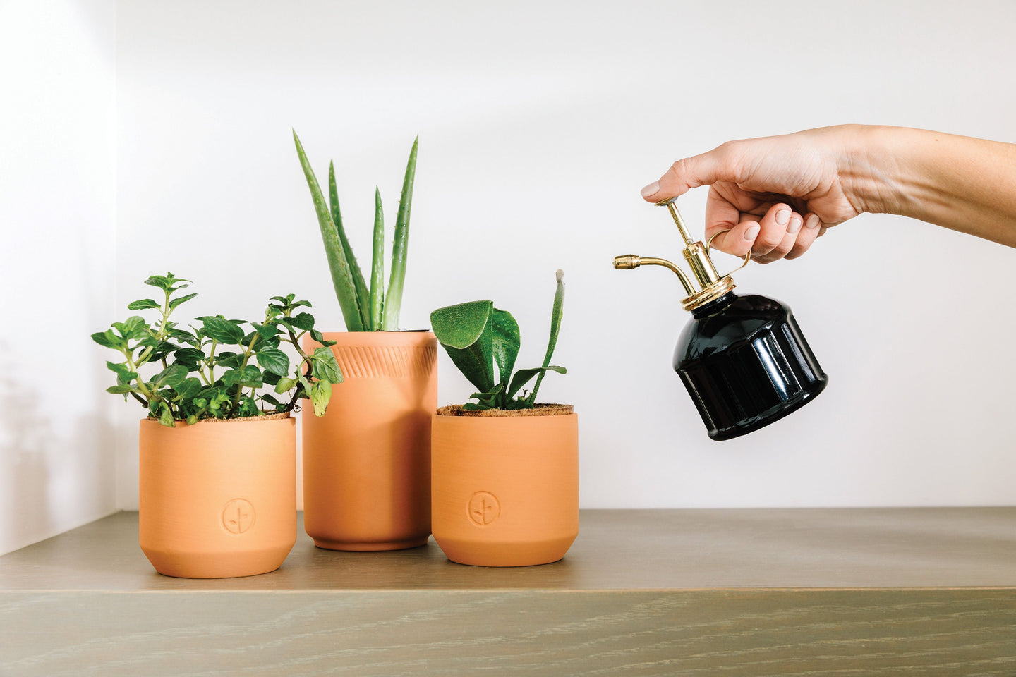 Plant Misters Modern Sprout