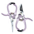 Gardening Shears & Pruners Modern Sprout