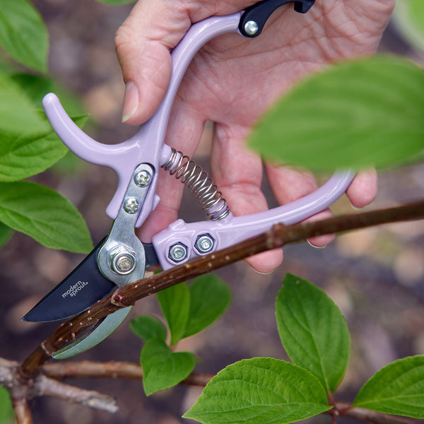 Gardening Shears & Pruners Modern Sprout
