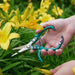 Gardening Shears & Pruners Modern Sprout