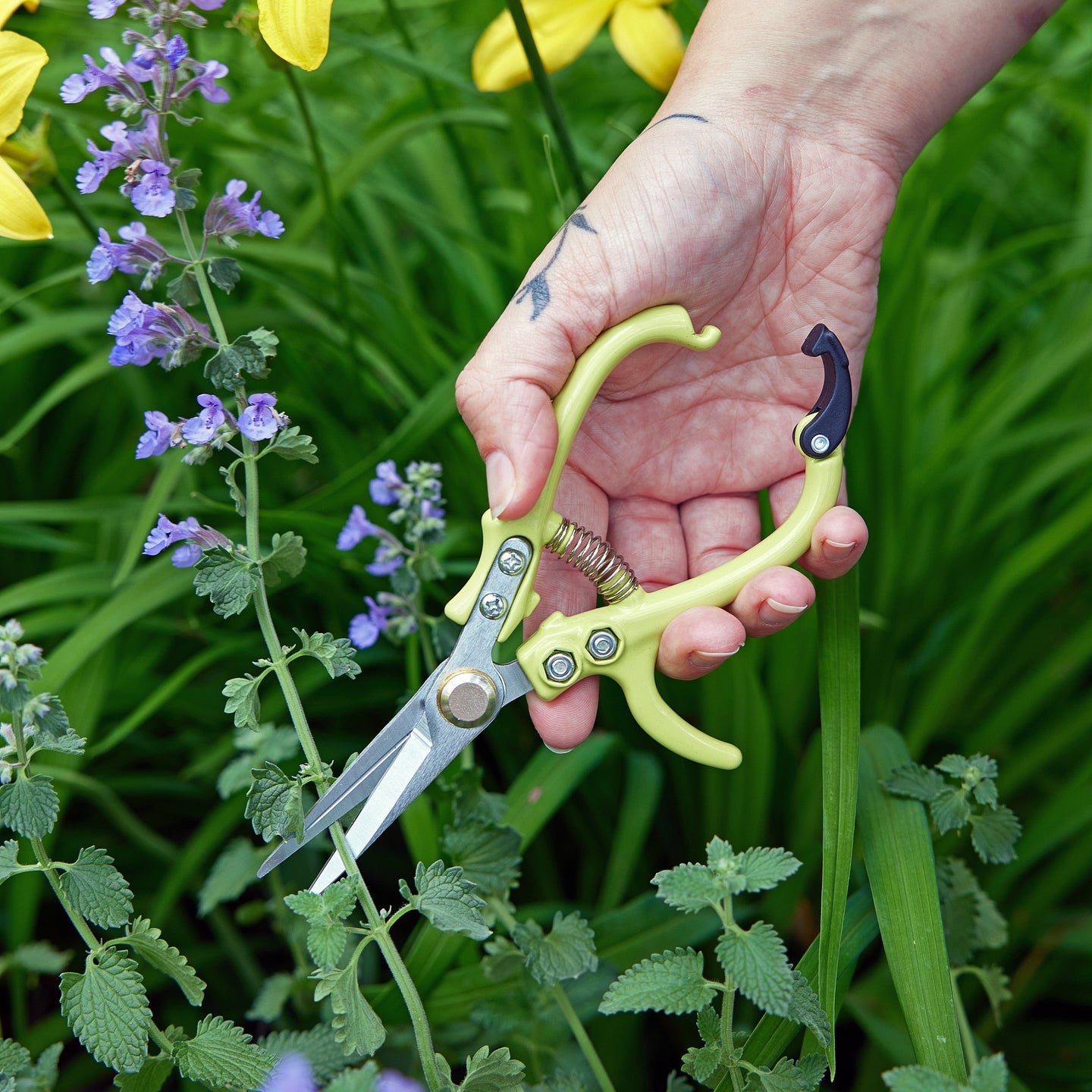 Gardening Shears & Pruners Modern Sprout
