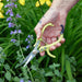 Gardening Shears & Pruners Modern Sprout