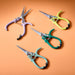 Gardening Shears & Pruners Modern Sprout