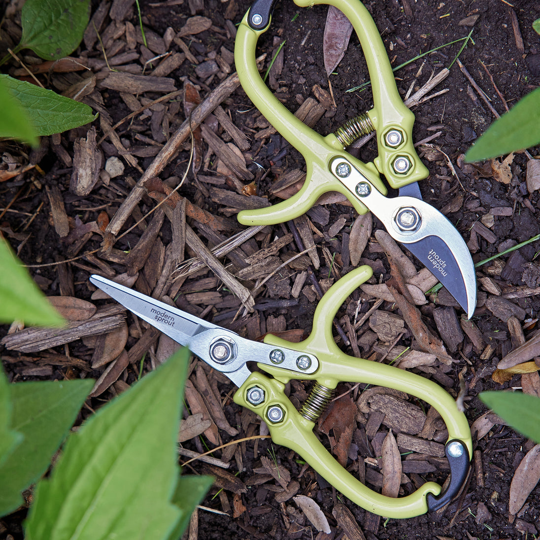 Gardening Shears & Pruners Modern Sprout