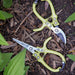 Gardening Shears & Pruners Modern Sprout
