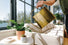 Watering Cans Modern Sprout