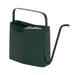 Watering Cans Modern Sprout