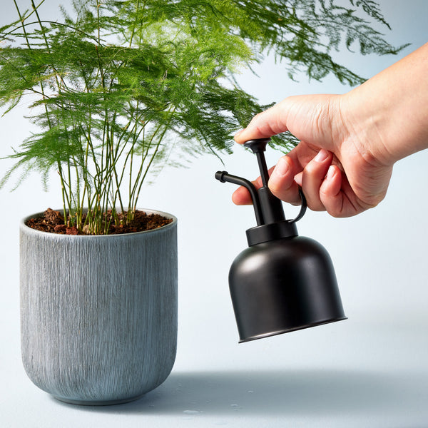 Plant Misters Modern Sprout