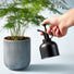 Plant Misters Modern Sprout