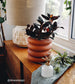 Plant Misters Modern Sprout