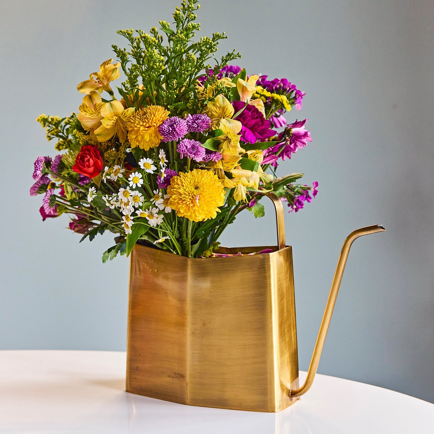 Watering Cans Modern Sprout