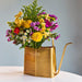 Watering Cans Modern Sprout