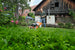 RM 650 V Petrol Lawnmower Stihl