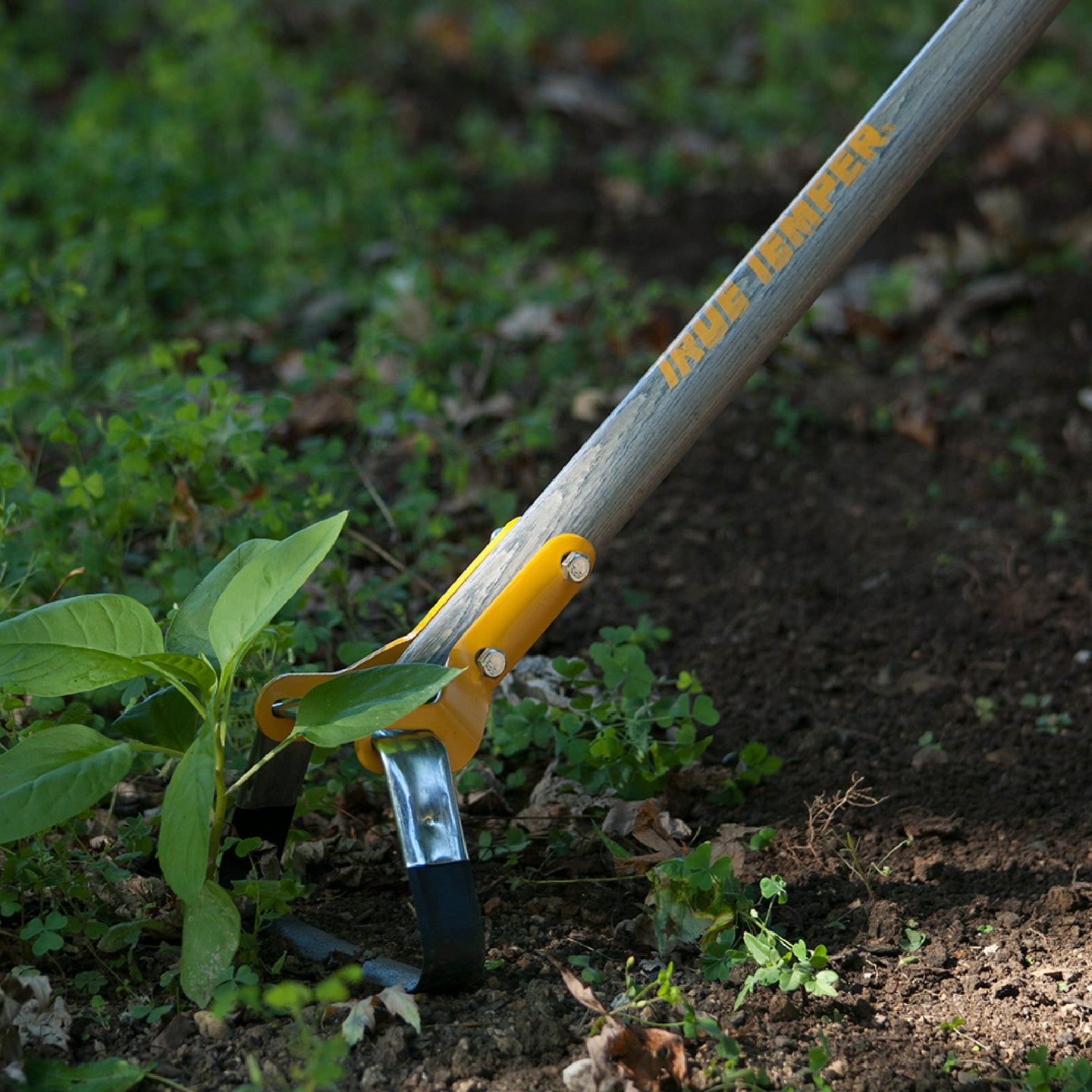 True Temper 2866300 Looped Action Hoe Cultivator w/ 54 In. Hardwood Handle True Temper
