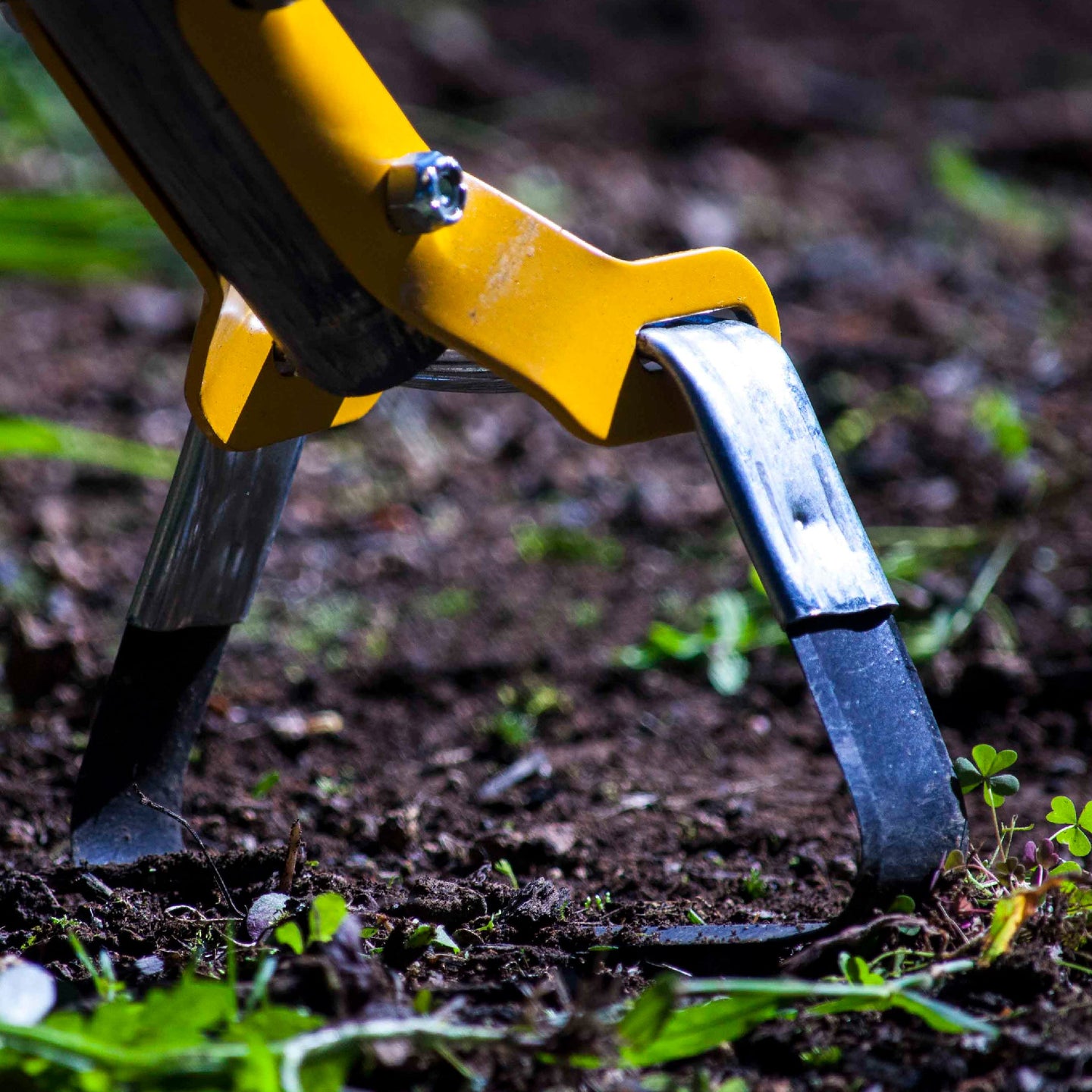True Temper 2866300 Looped Action Hoe Cultivator w/ 54 In. Hardwood Handle True Temper