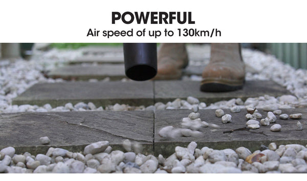Baumr-AG 20V Lithium Cordless Leaf Blower Electric Hand-held Garden Tool Platinum Deals