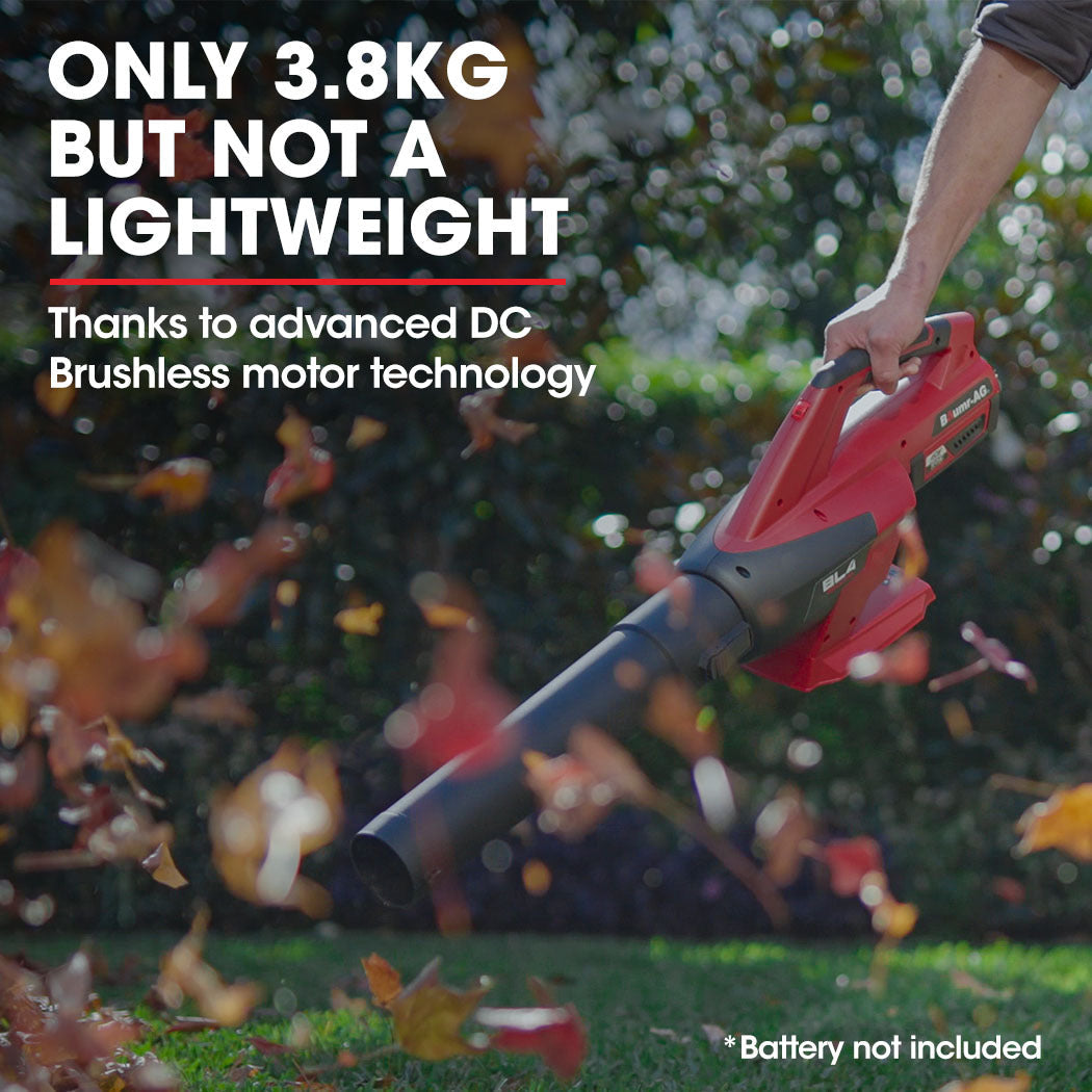 Baumr-AG 40V Cordless Electric Leaf Blower (Skin Only) Platinum Deals